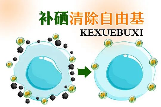 乙肝 补硒 量