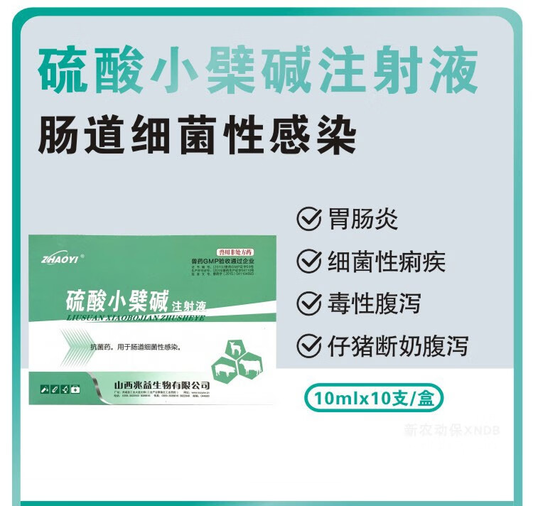 补硒和补铁食物