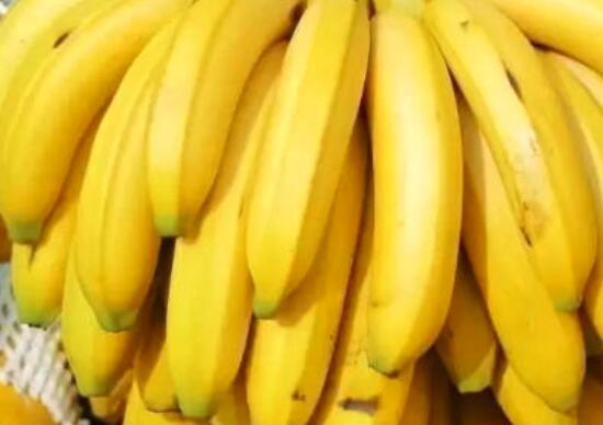 补硒和补铁食物(补食物补铁硒元素好吗)-硒宝网