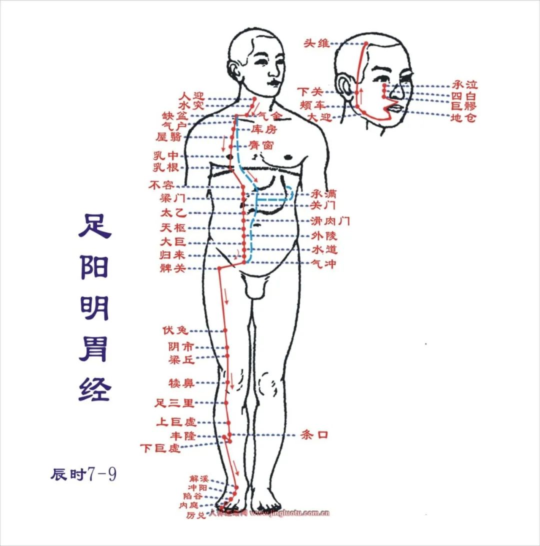 什么穴位能补硒