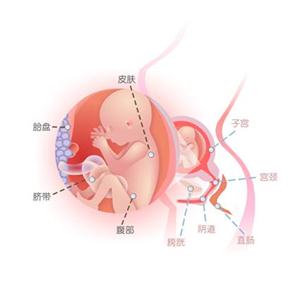 孕晚期怎么补硒