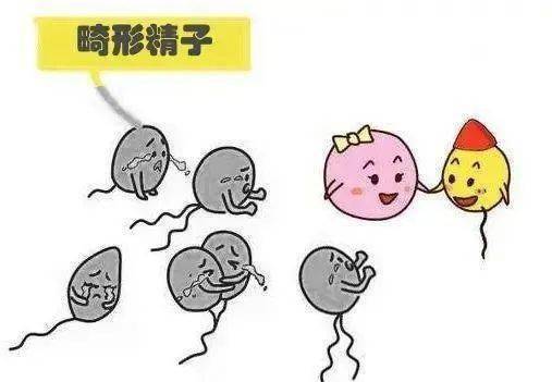 补锌补硒中成药