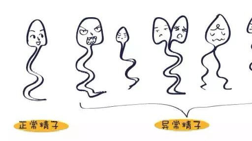 补锌补硒中成药