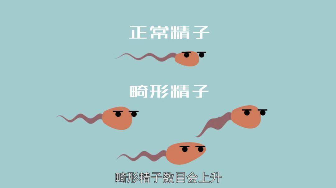 补锌补硒中成药