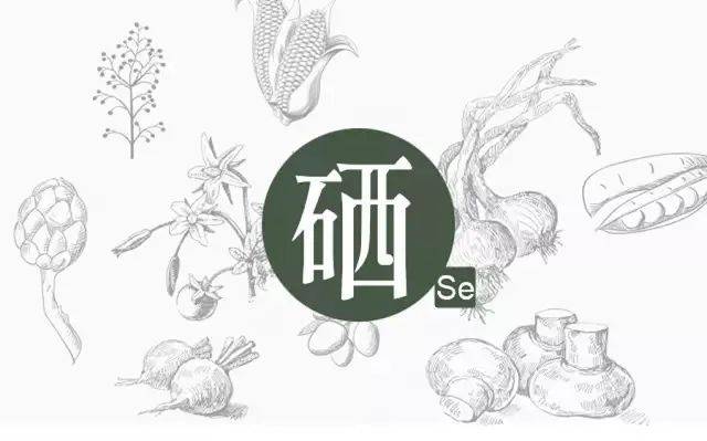 怎样给韭菜补硒