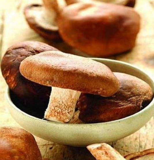 补硒好处和坏处(补充硒对人体的好处)-硒宝网