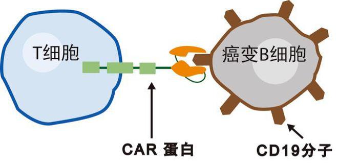 息肉需要补硒吗