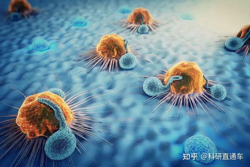 息肉需要补硒吗