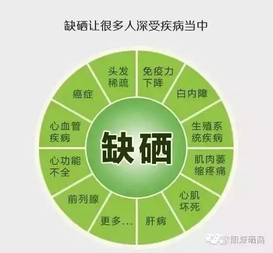 补硒的国家文件