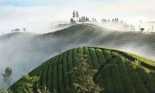 补硒的国家文件