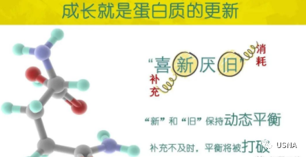 钙 硒十八补粉(补钙补硒)-硒宝网