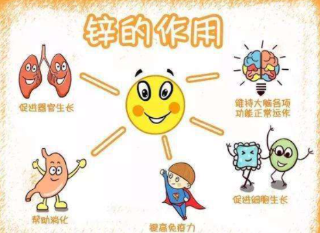 宝宝补锌什么牌子好