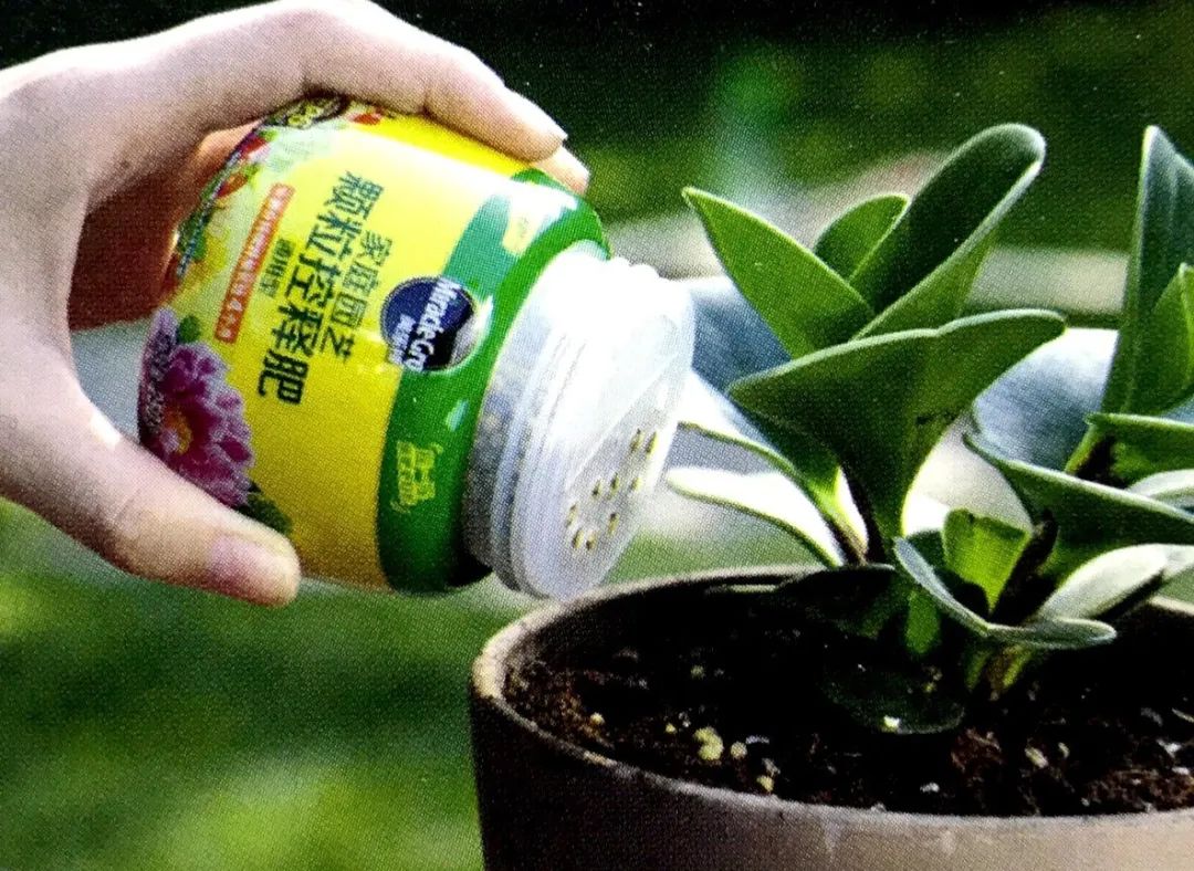 植物补硒的方式
