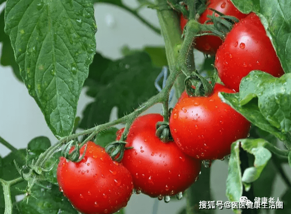 血糖高可以吃钙片补钙吗