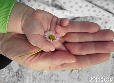 怀孕检查微量元素多少钱，孕妇做微量元素检查多少钱？