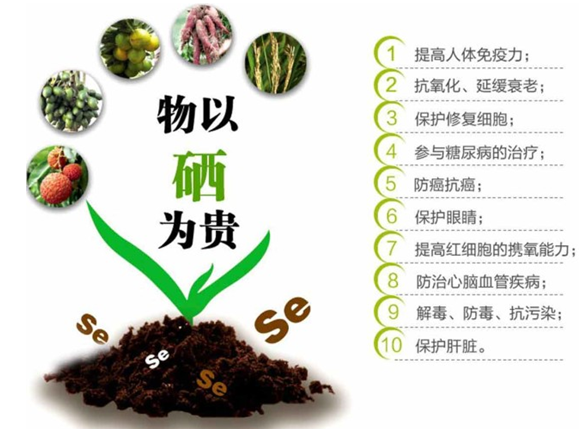 补硒有什么效果(补硒的效果)-硒宝网