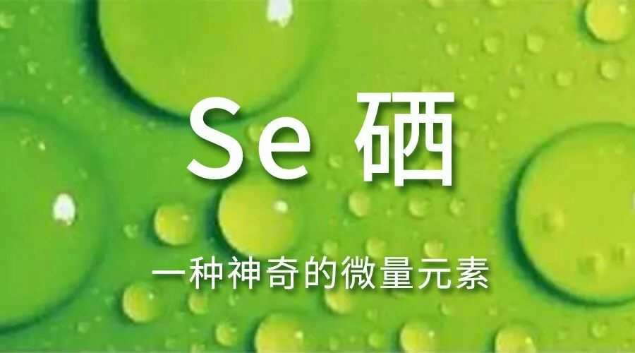 补硒有什么效果(补硒的效果)-硒宝网