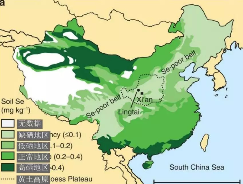 东北、山西、西南等地都属于低硒、或者缺硒地区