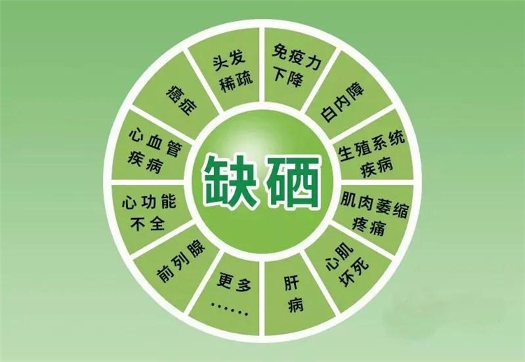 常用补硒的产品