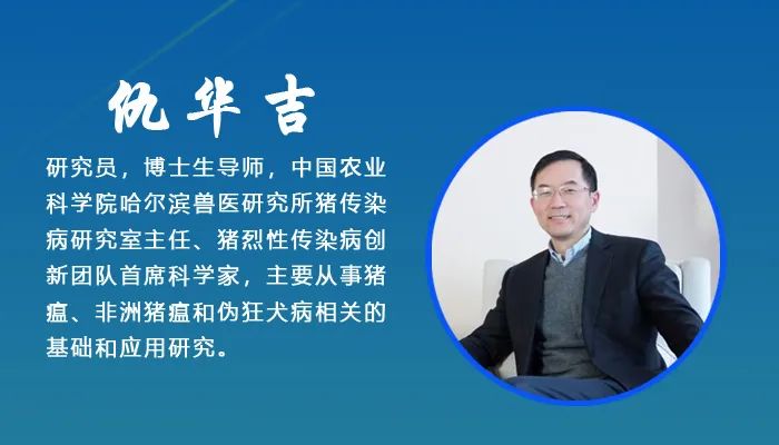 母猪需要补硒吗(母猪补硒什么时候补最好)-硒宝网