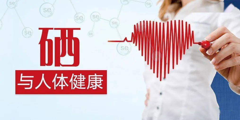 补硒的最好成分