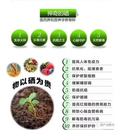 新生牛犊补硒吗