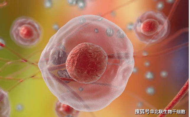 酵母补硒的功效