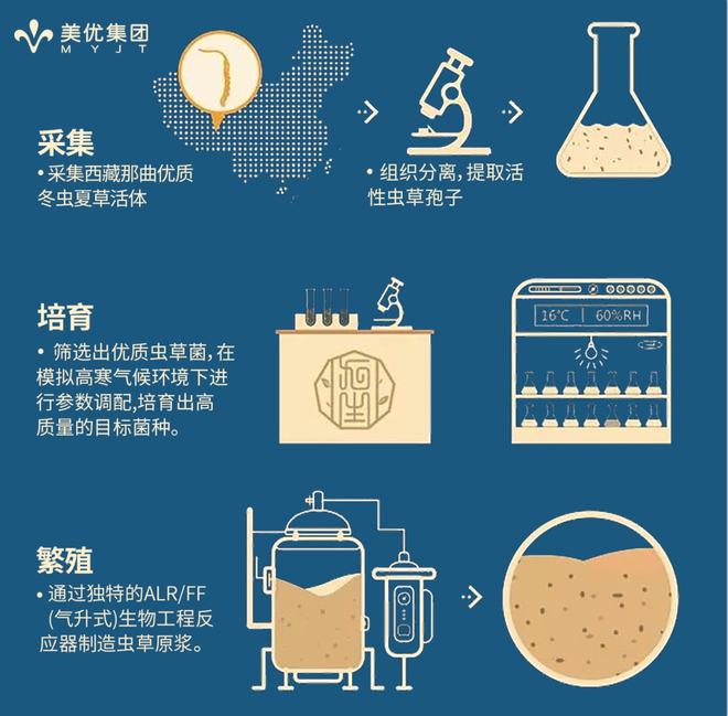 补硒降血压血糖