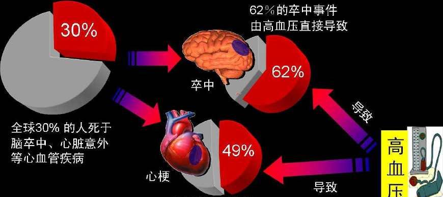 补硒导致高血压