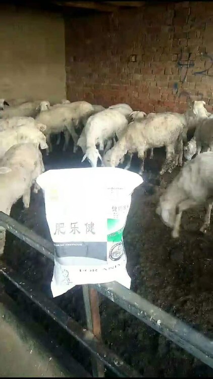 牛羊补硒的好处(牛羊缺硒会引起哪些疾?。?硒宝网