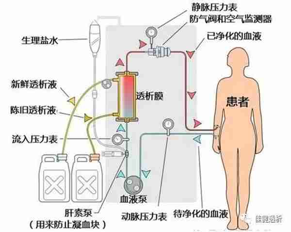 透析需要补硒吗