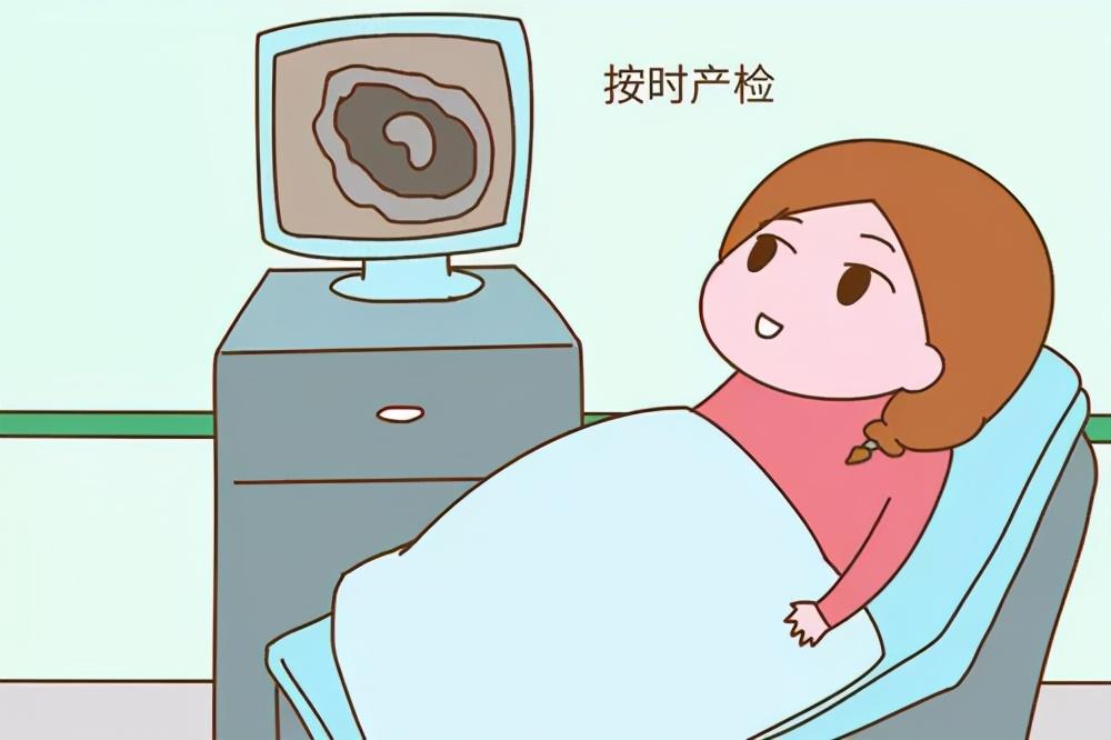 怀孕补蛋白锌硒
