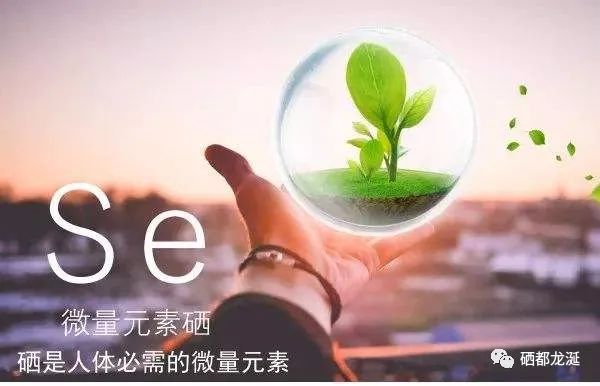 补硒后过敏爆发