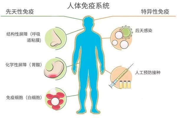 补硒与肠胃疾?。ǔξ讣膊〔刮允裁匆?硒宝网
