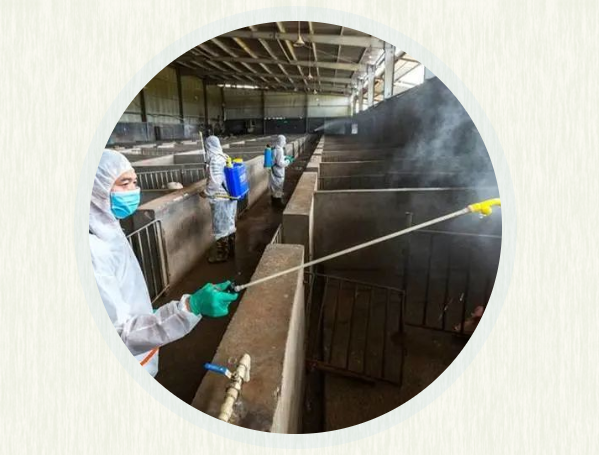 仔猪补硒的方法(补仔猪方法硒含量多少)-硒宝网