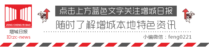 补铁吃什么水果