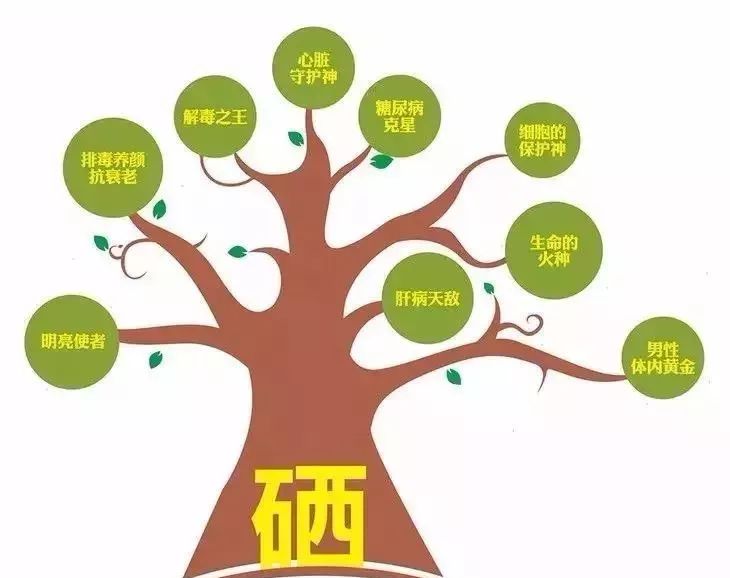 补硒要注意什么