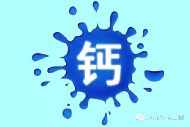 钙铁锌硒不同补