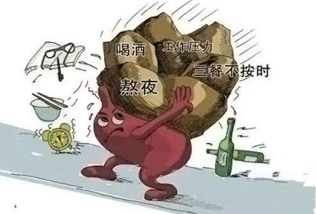 补硒肝脏的反应
