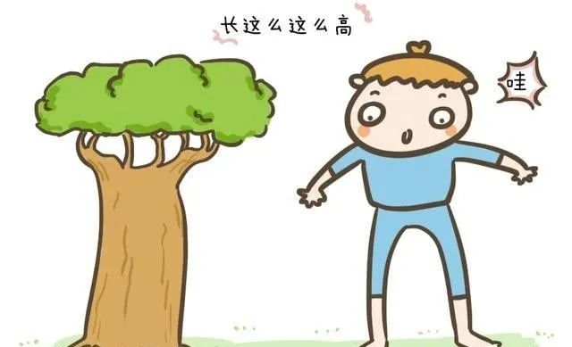 17岁补钙还可以长高吗