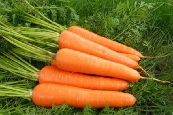 全球补钙排名第一(全球补钙产品排名第一)-硒宝网