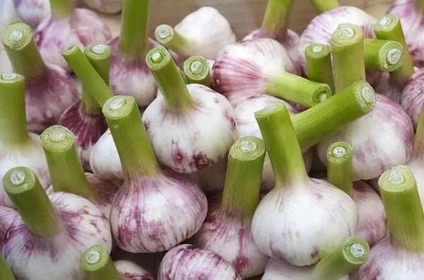 鳞状细胞癌补硒(癌细胞补鳞状硒可以吗)-硒宝网