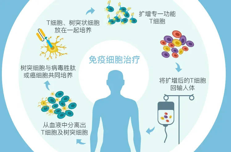 什么东西补硒的