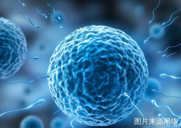 备孕女补硒好处
