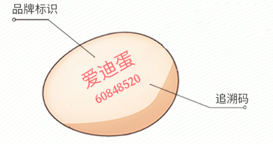 http://www.jkassets.cn/wp-content/uploads/2023/12/1702433380609_2.png