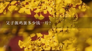 父子源鸡蛋多少钱1斤？