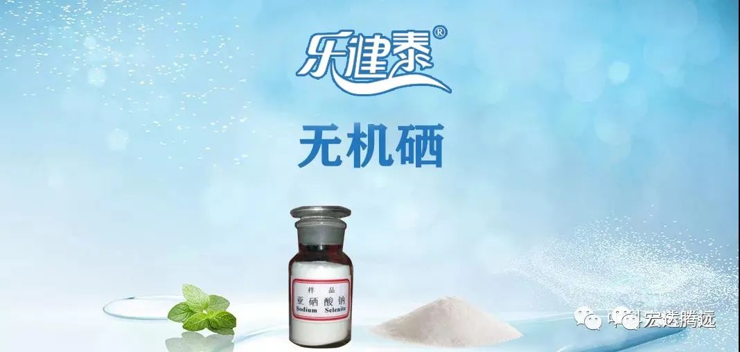 人体补硒多少钱(人体补硒好吗)-硒宝网