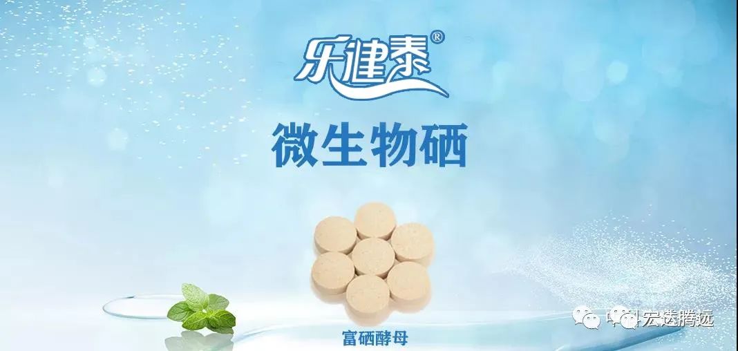 人体补硒多少钱(人体补硒好吗)-硒宝网