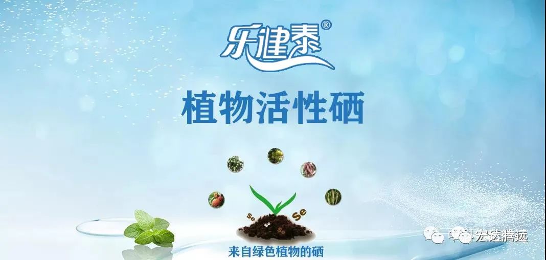 人体补硒多少钱(人体补硒好吗)-硒宝网