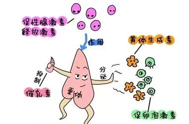 甲减补硒的剂量